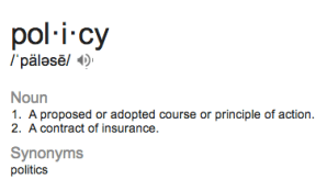 policy glossary