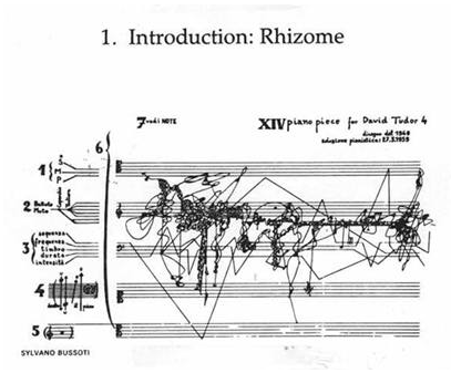 rhizome 2