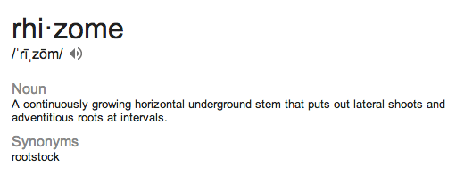 rhizome glossary