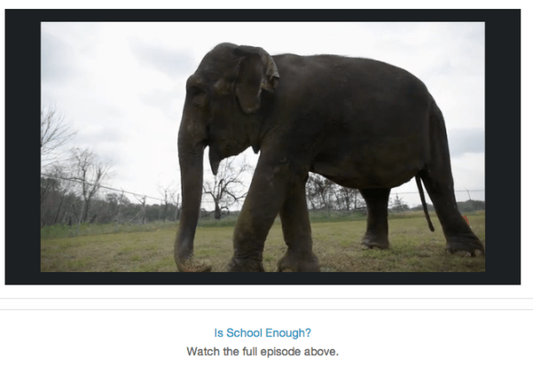 is school enough full