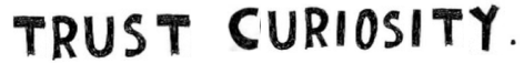 trust curiosity
