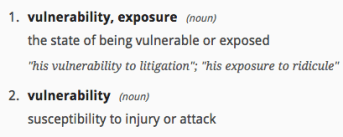 vulnerability defn
