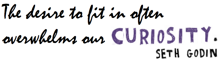 curiosity fitting in