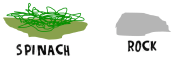 spinach & rock