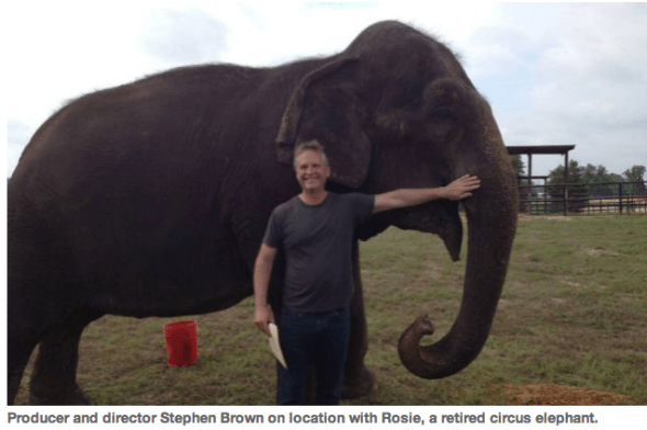 stephen with elephant