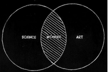 wonder diagram via silva