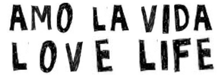amo la vide