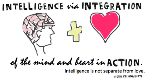 intelligence via integration graphic