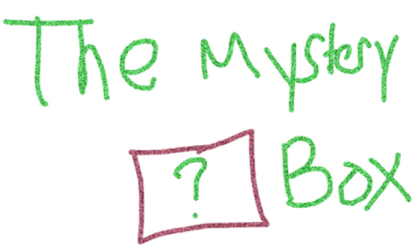 shea the mystery box