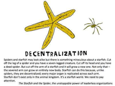 starfish and spider graphic