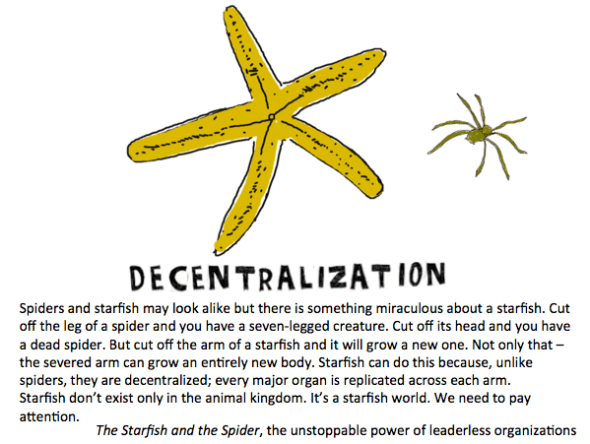 starfish and spider graphic