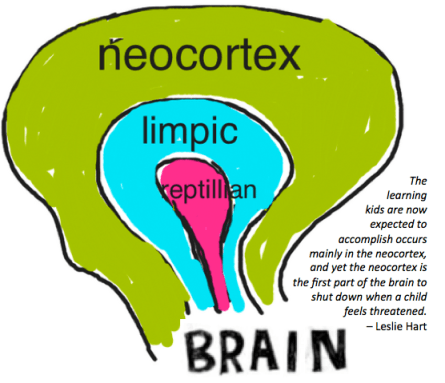brain graphic with words