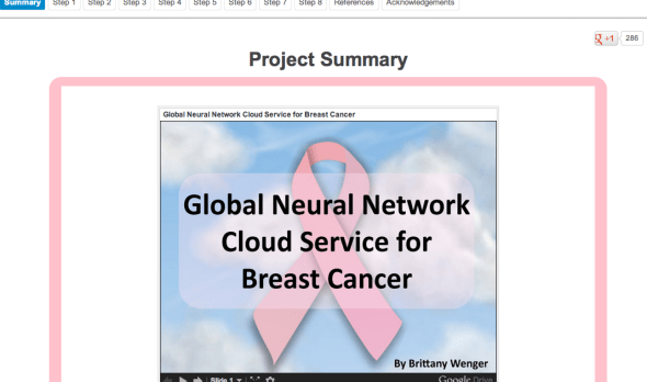 brittany wenger project