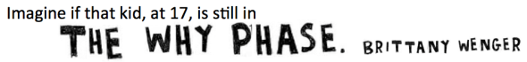 brittany wenger - the why phase