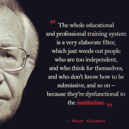 noam chomsky quote
