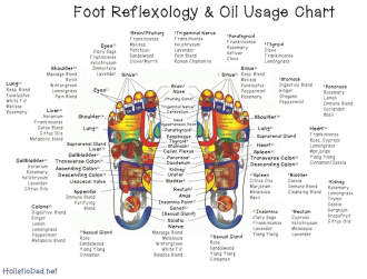 foot reflexology chart