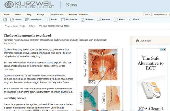 kurzweil on the brain