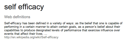 self efficacy defn