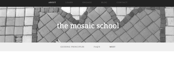 the mosaic school