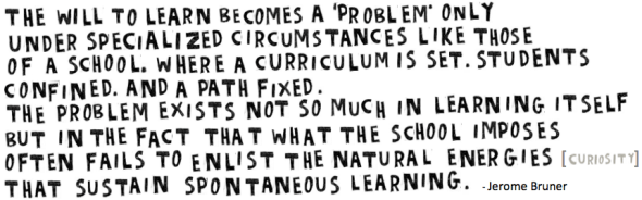 bruner quote w curiosity