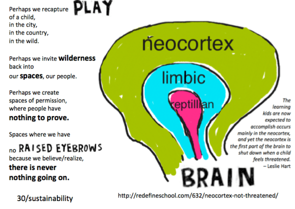 neocortex on grit