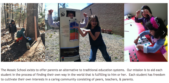 the mosaic school pics