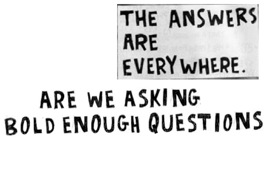 the answers are bold enough