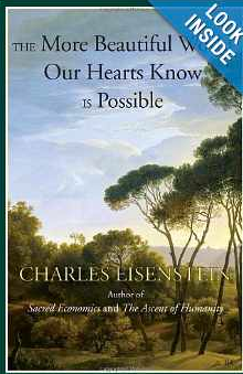 the more beautiful world