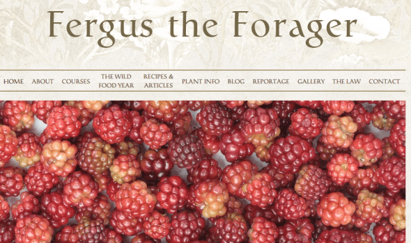 fergus the forager site