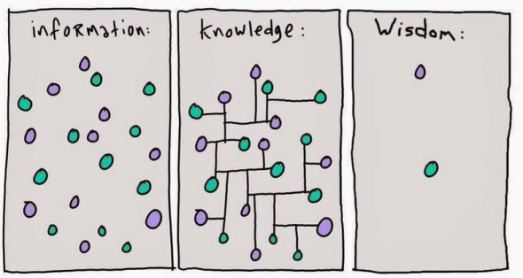 info knowledge wisdom