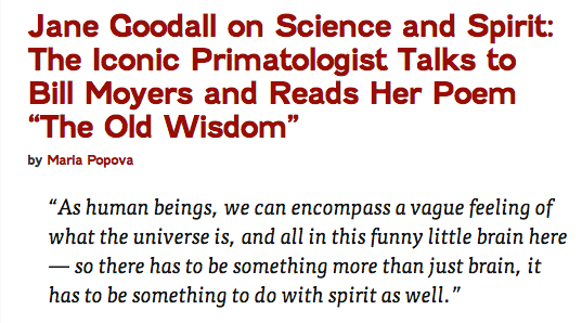 jane goodall via maria