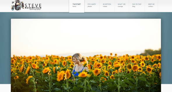 steve rosenfield site