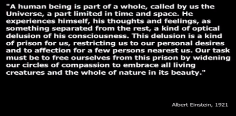 einstein quote davidson