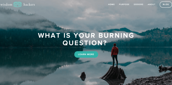 wisdom hackers