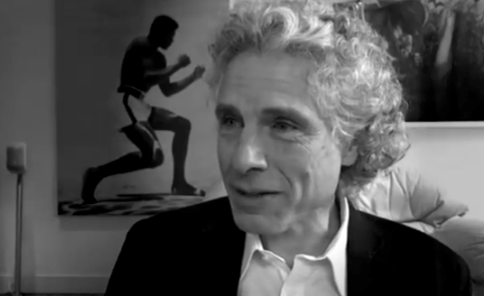 steven pinker