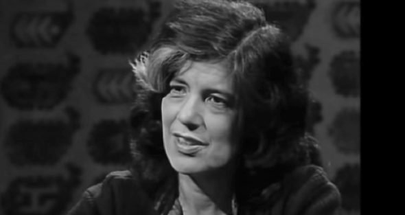 susan sontag 2