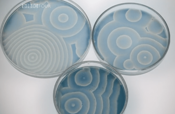 self org patterns.png