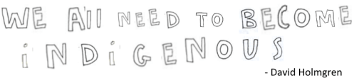 need-to-become-indigenous-holmgren