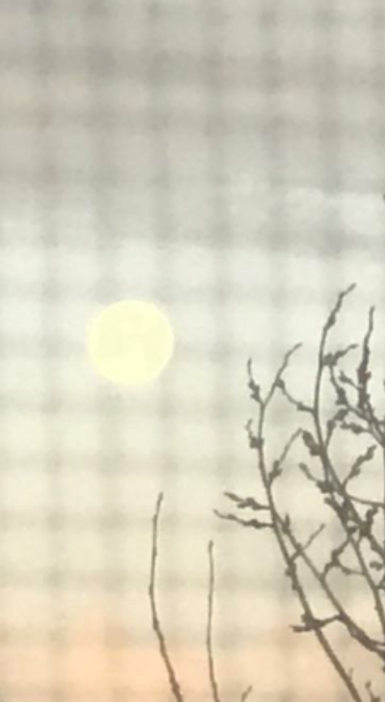 moon al.png